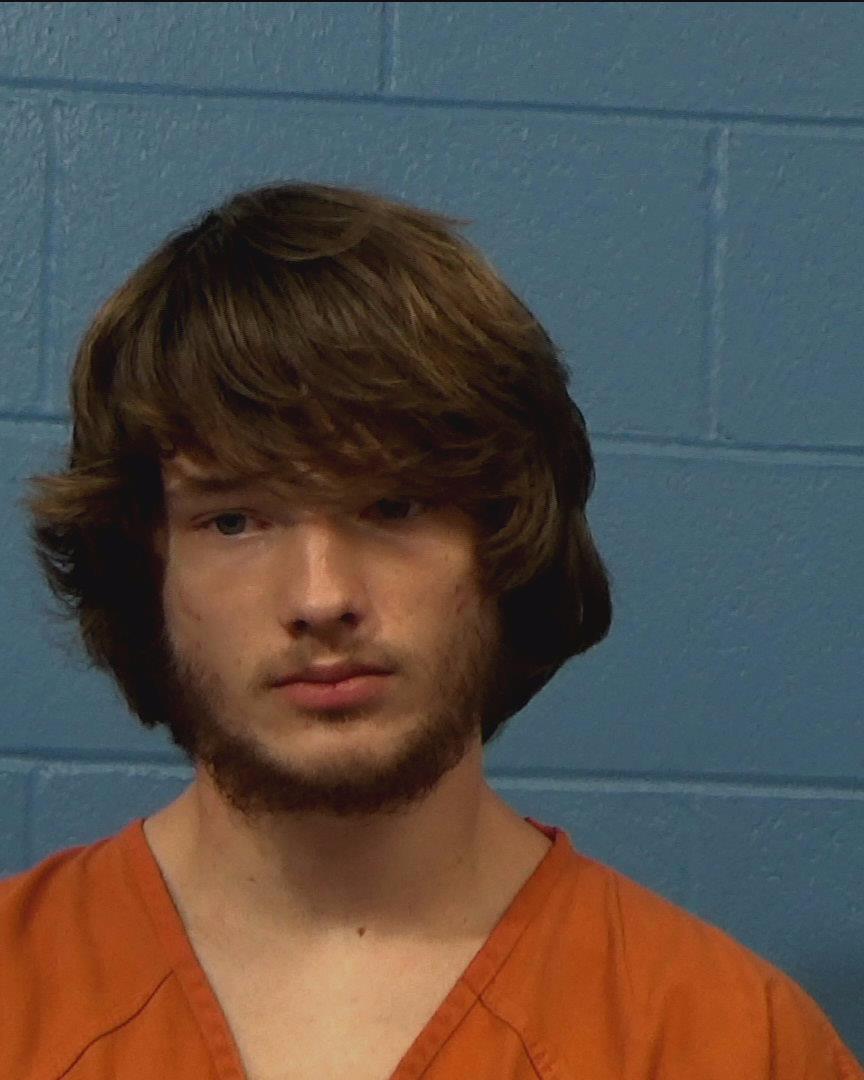 Blevins, Nathan Earl arrested by Williamson County PD/SO