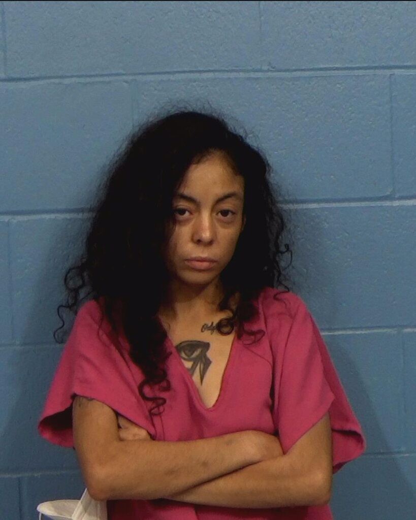 Soto, Karen Iveth arrested in Williamson County, Texas mugshot