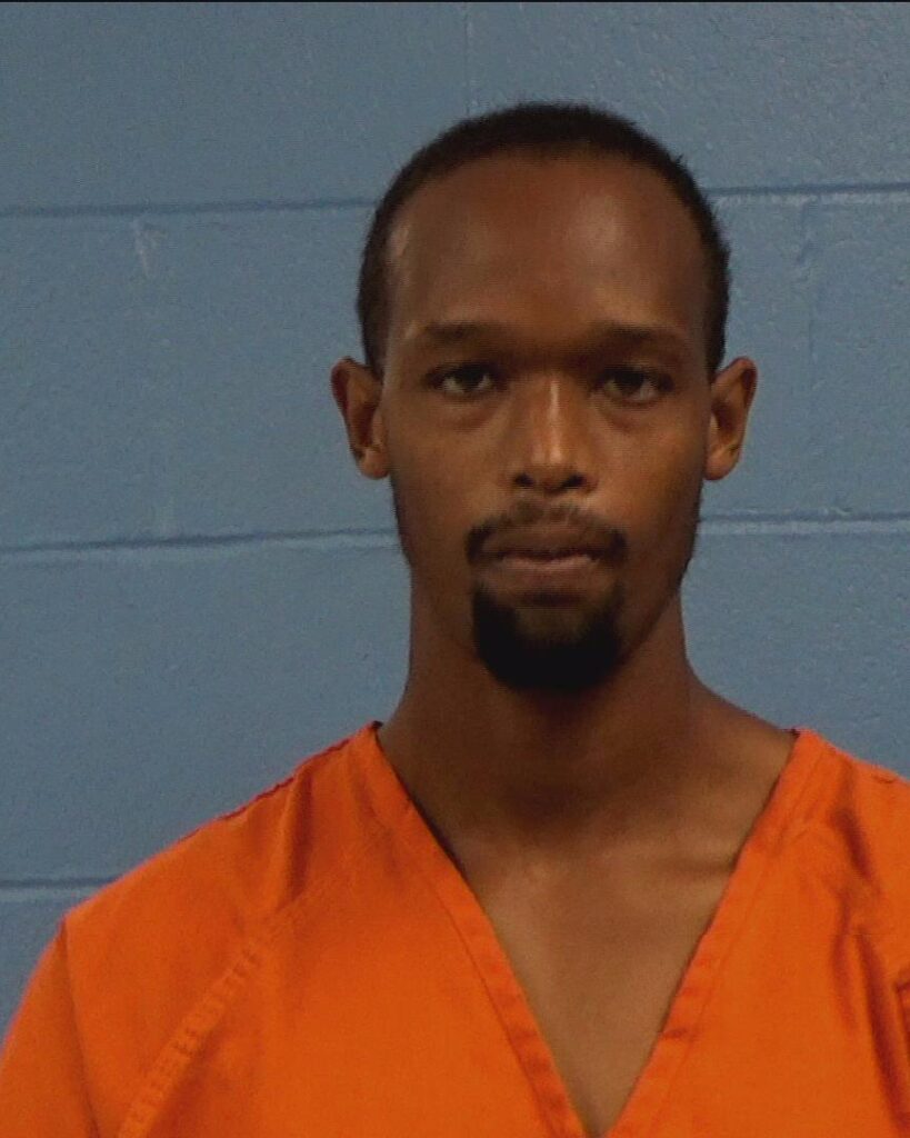 Wellons, David M. arrested in Williamson County, Texas mugshot