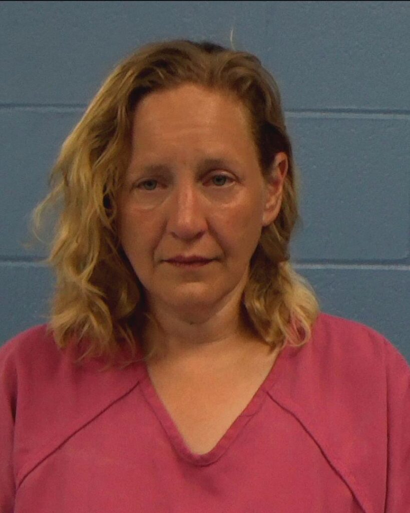 Lee, Amy Marie arrested in Williamson County, Texas mugshot