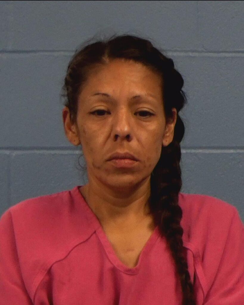 Hernandez, Tracey Ursala arrested in Williamson County, Texas mugshot