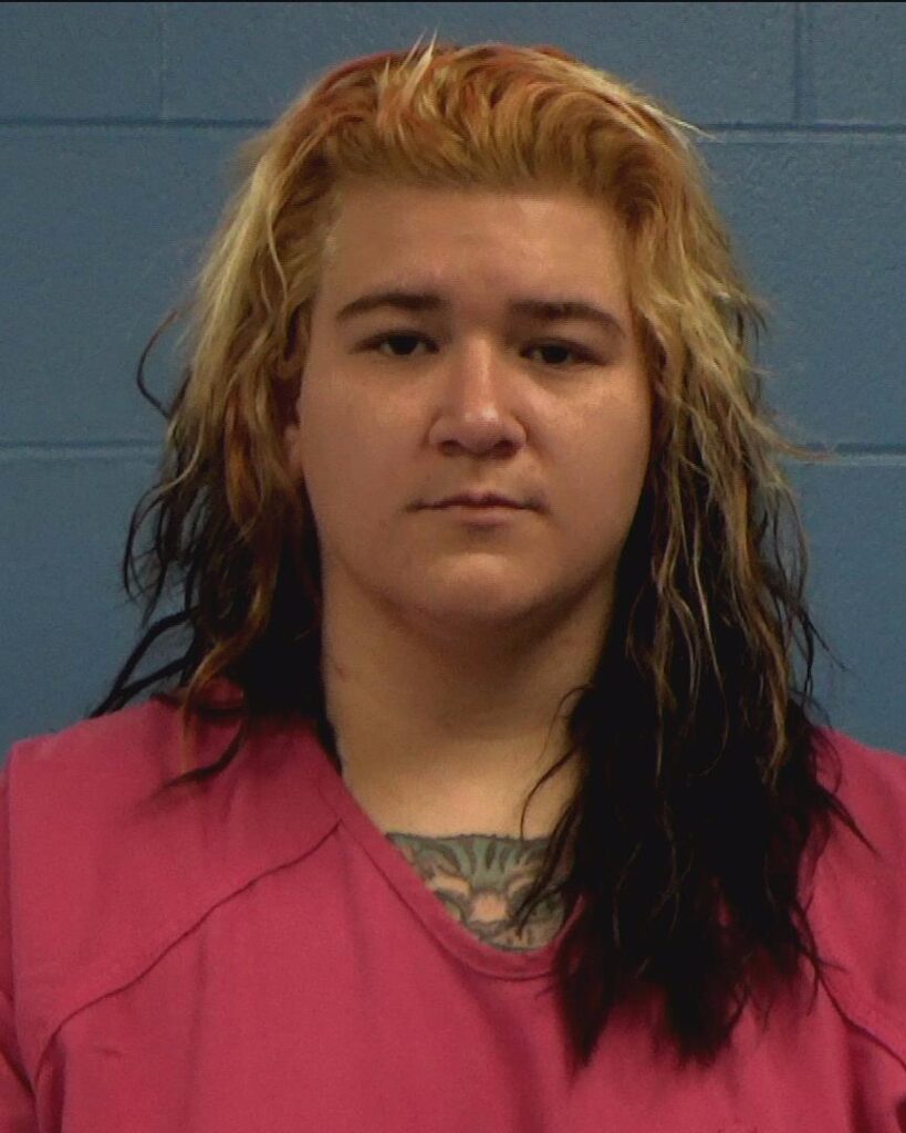Joplin, Victoria Jane arrested in Williamson County, Texas mugshot