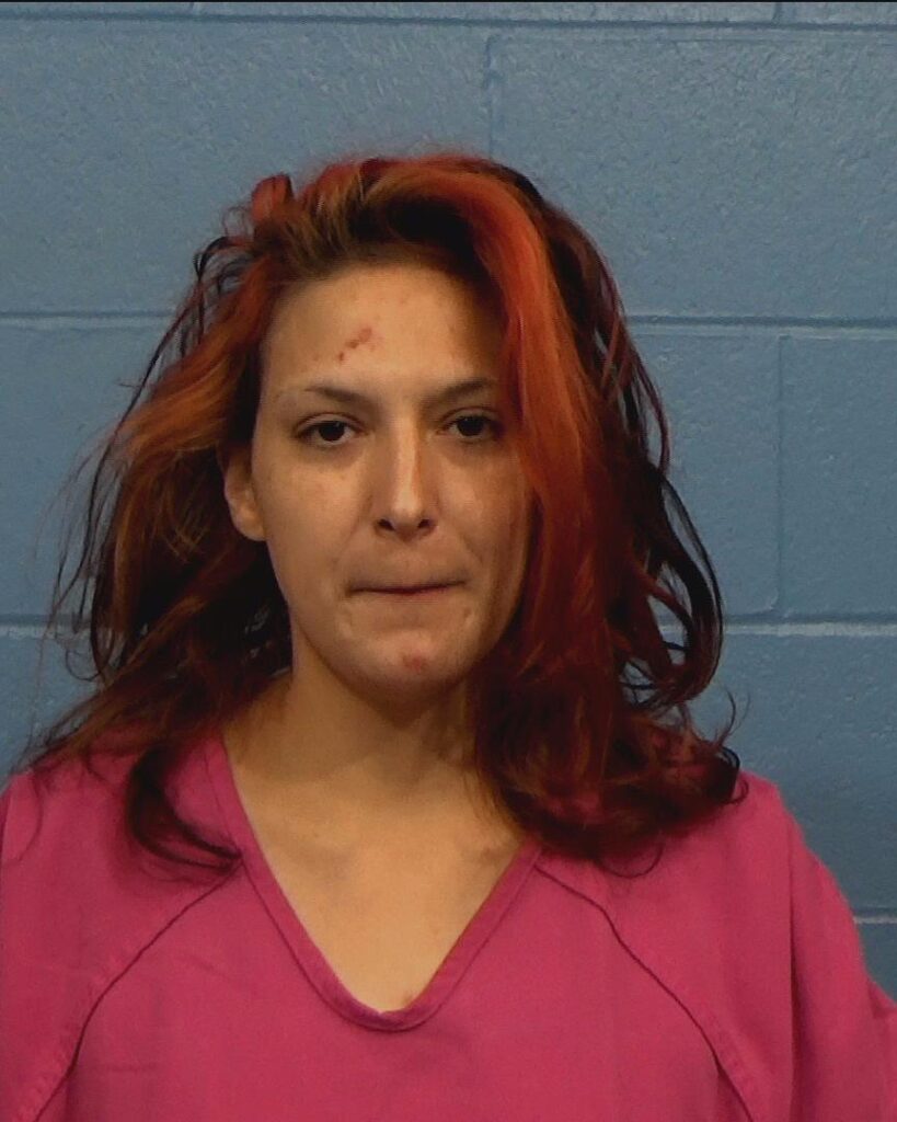 Gonzalez, Jennifer arrested in Williamson County, Texas mugshot