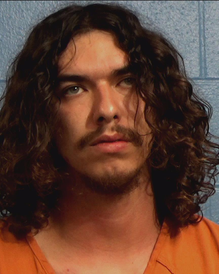 Lafave, John Thomas arrested by Williamson County PD/SO