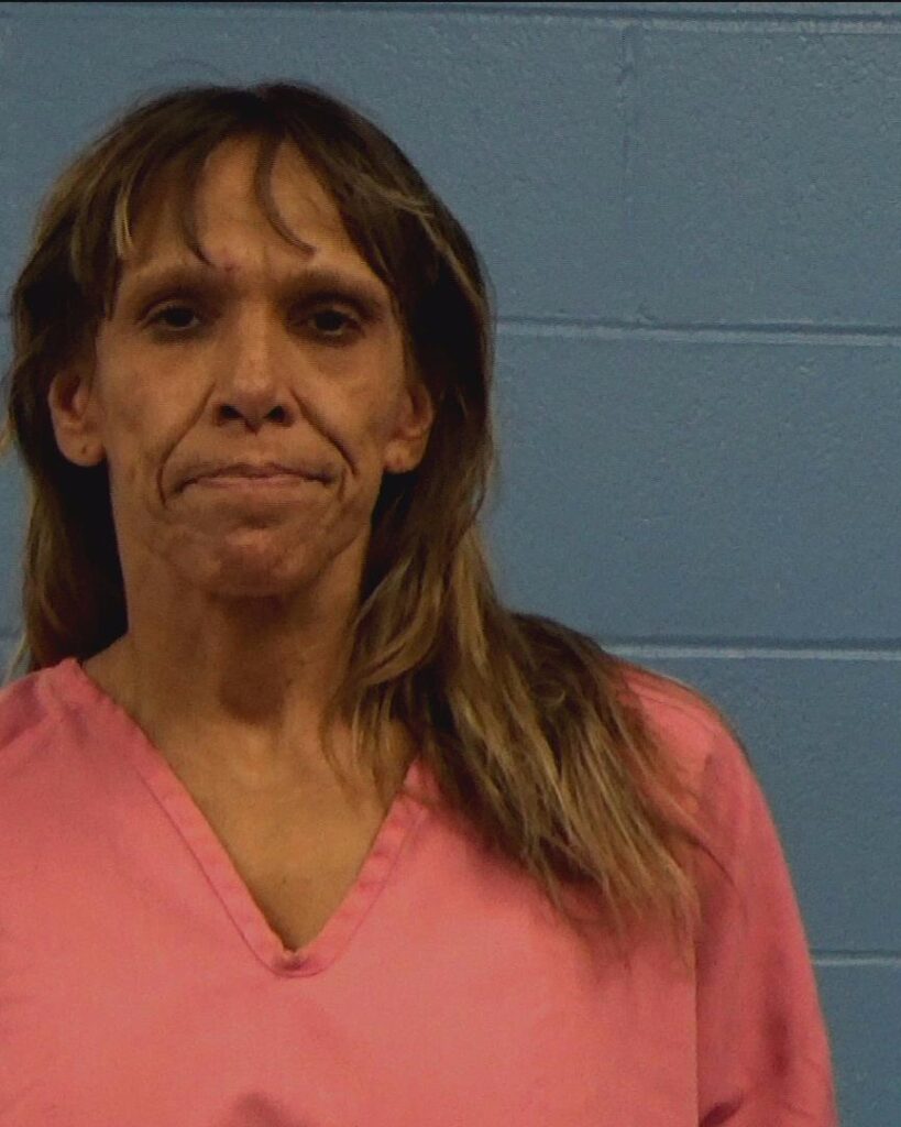 Parham, Penny M arrested in Williamson County, Texas mugshot