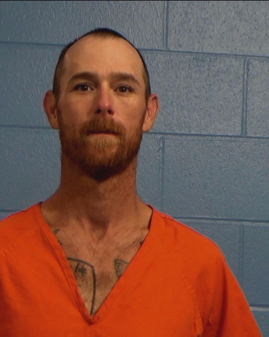 Lively, Steven Paul booking photo