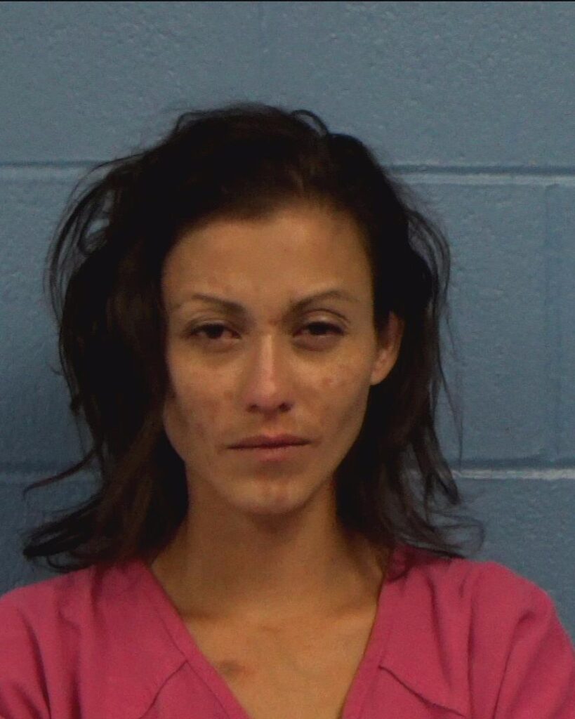Borjas, Lilian arrest record in Williamson County, Texas Borjas, Lilian arrested in Williamson County, Texas mugshot