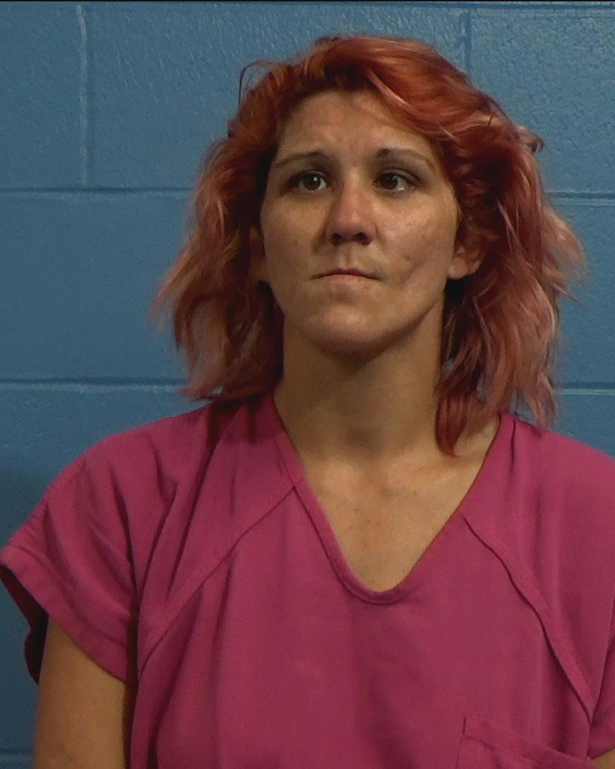 Wilkins, Kelly Ann booking photo