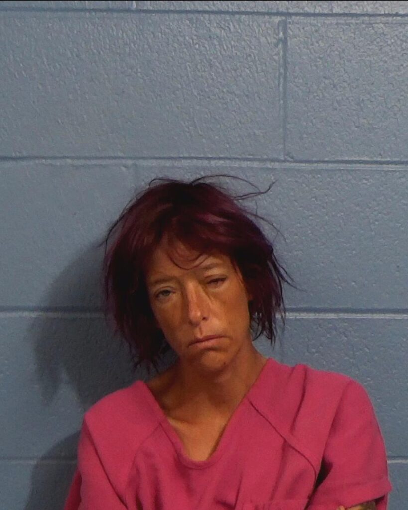 Weber, Ashley Dawn arrested in Williamson County, Texas mugshot