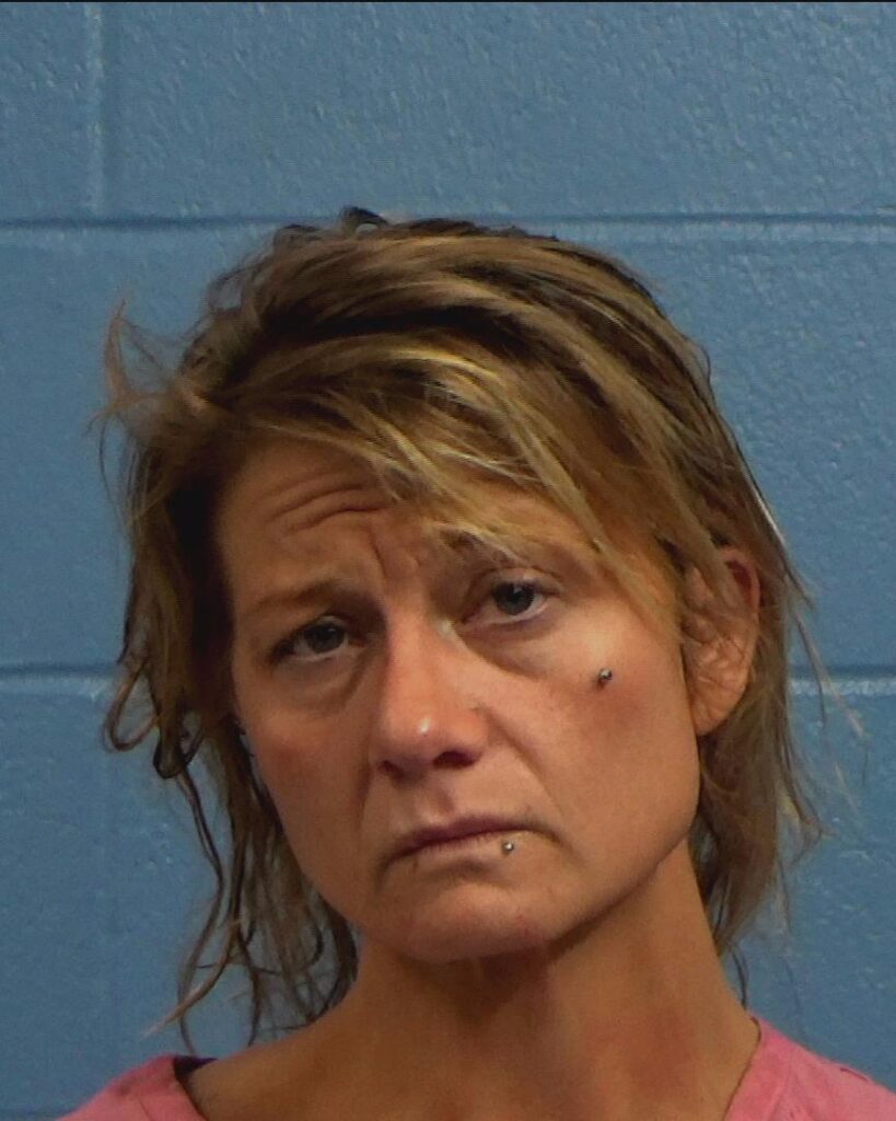Anderson, Lindsey Ellen arrested in Williamson County, Texas mugshot