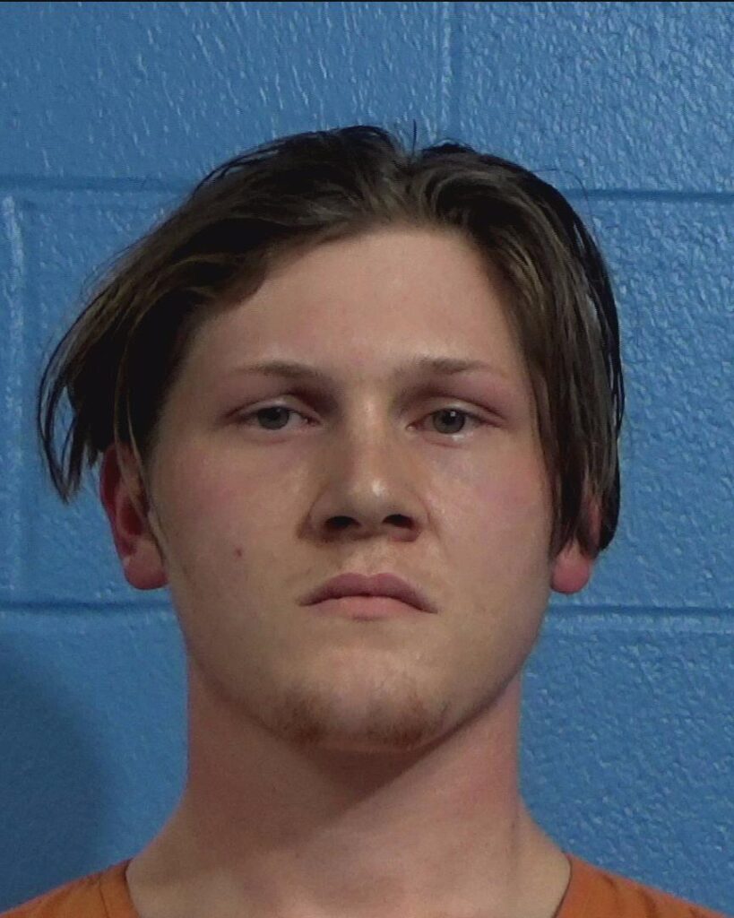 LINEBERGER, REID BENTON arrested in Williamson County, Texas mugshot