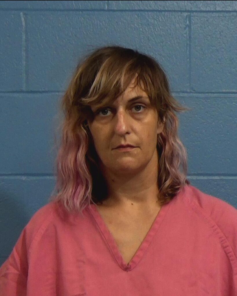 Ludlow, Lisa Marie arrested in Williamson County, Texas mugshot