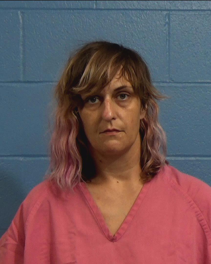 Ludlow, Lisa Marie booking photo