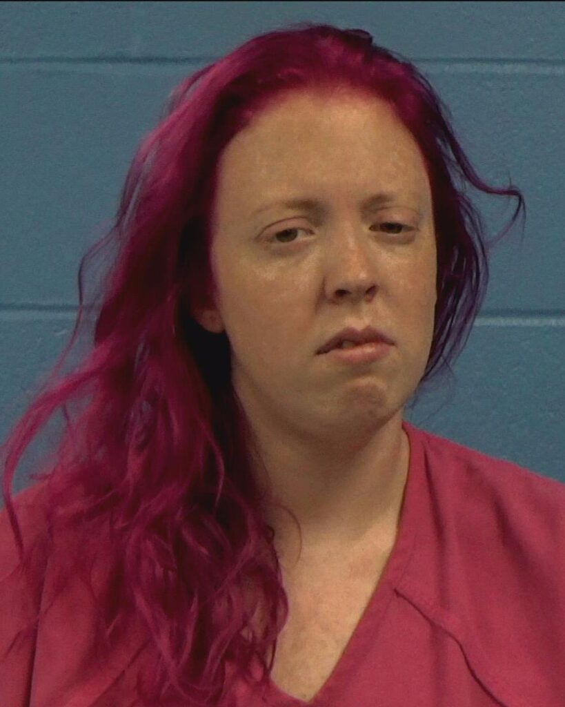 Long, Courtney Michelle arrested in Williamson County, Texas mugshot