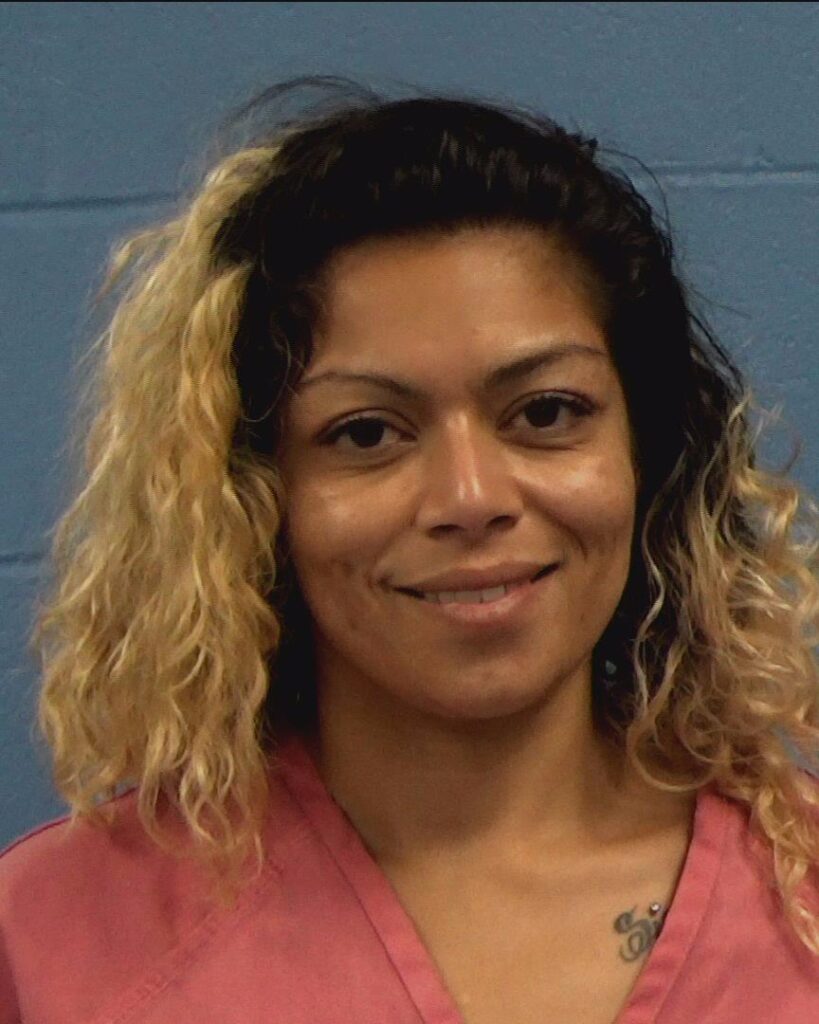 Villaneuva, Mary Lou arrested in Williamson County, Texas mugshot