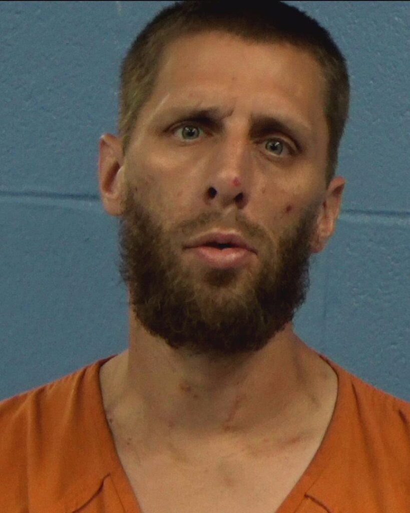 Hansen, John Anthony arrested in Williamson County, Texas mugshot