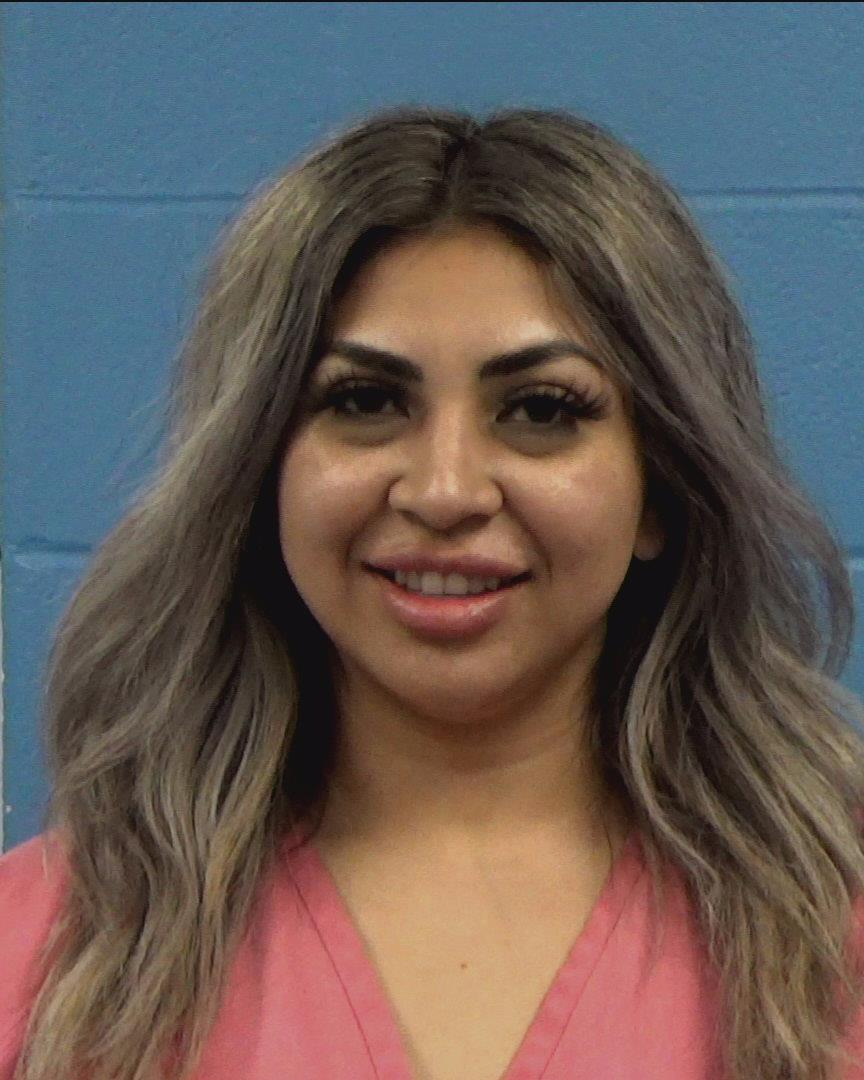 Salinas, Amanda Nicole booking photo