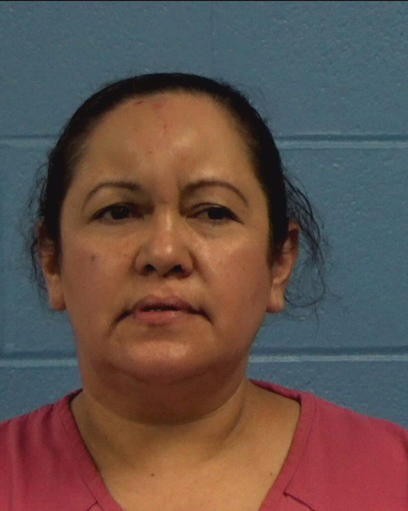 Heredia-De Stevens, Elvia Cristina arrested in Williamson County, Texas mugshot