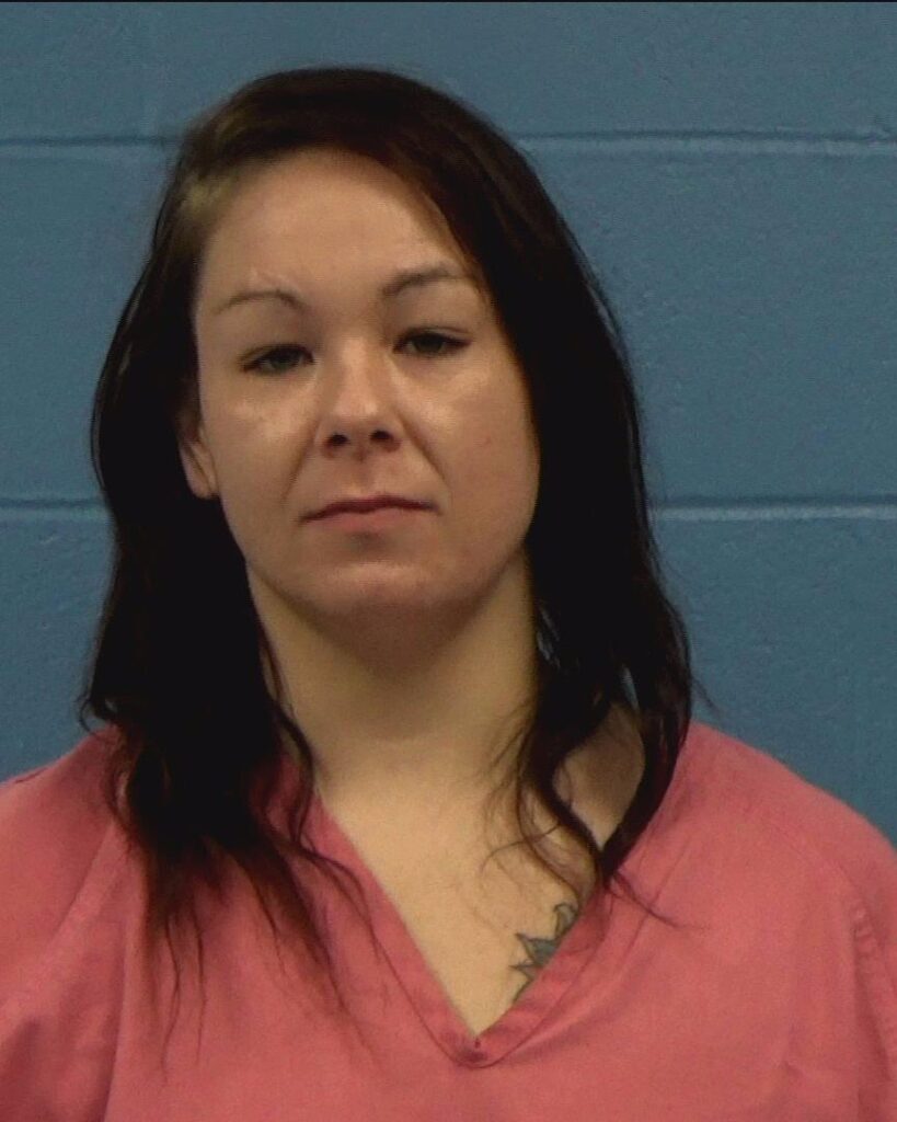 Oberschlake, Nicole Kathleen arrested in Williamson County, Texas mugshot