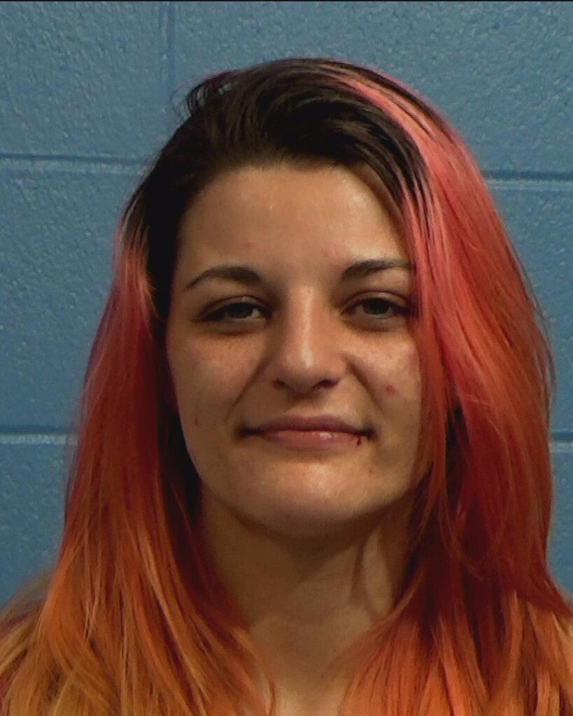 Beam, Addison Elizabeth arrest record in Williamson County, Texas Beam, Addison Elizabeth arrested in Williamson County, Texas mugshot