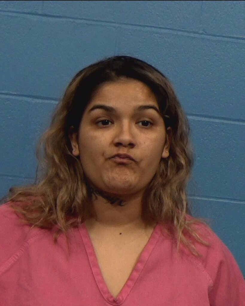 Reyna Crisotomo, Gisselle Emni arrested in Williamson County, Texas mugshot
