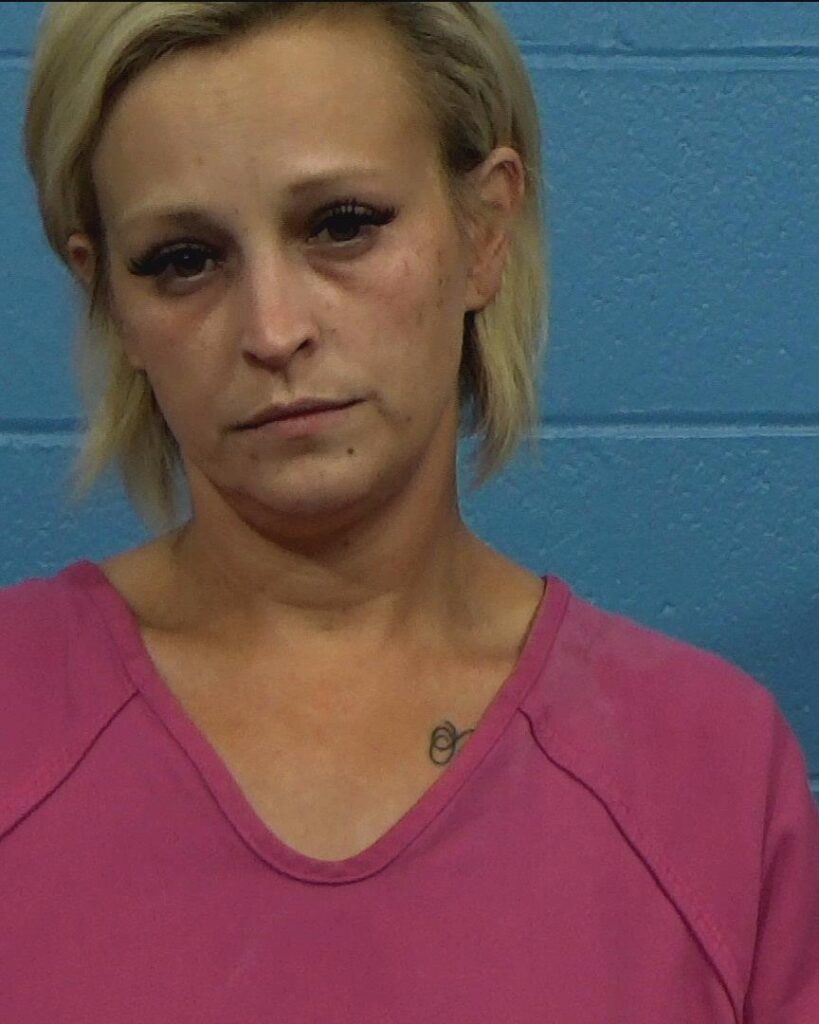 Linick, Kara Lynn arrest record in Williamson County, Texas Linick, Kara Lynn arrested in Williamson County, Texas mugshot