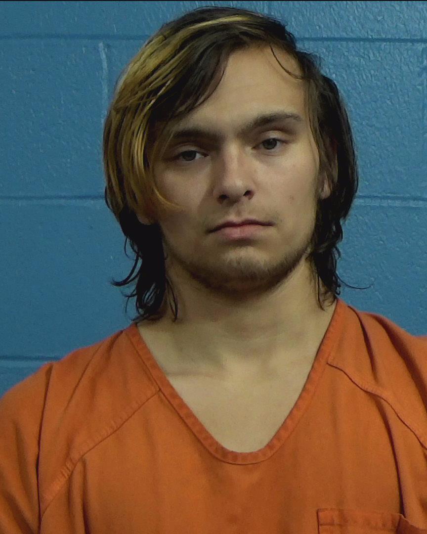 Hoing, Davis booking photo