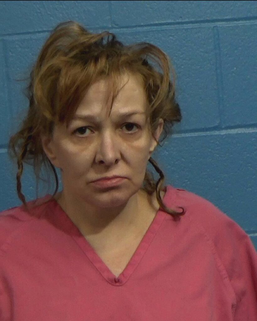 Castillo, Irina arrested in Williamson County, Texas mugshot
