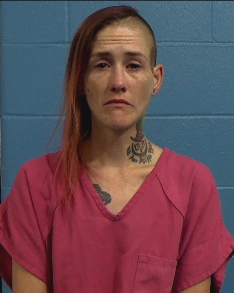 Morgan, Ellice Renee arrested in Williamson County, Texas mugshot