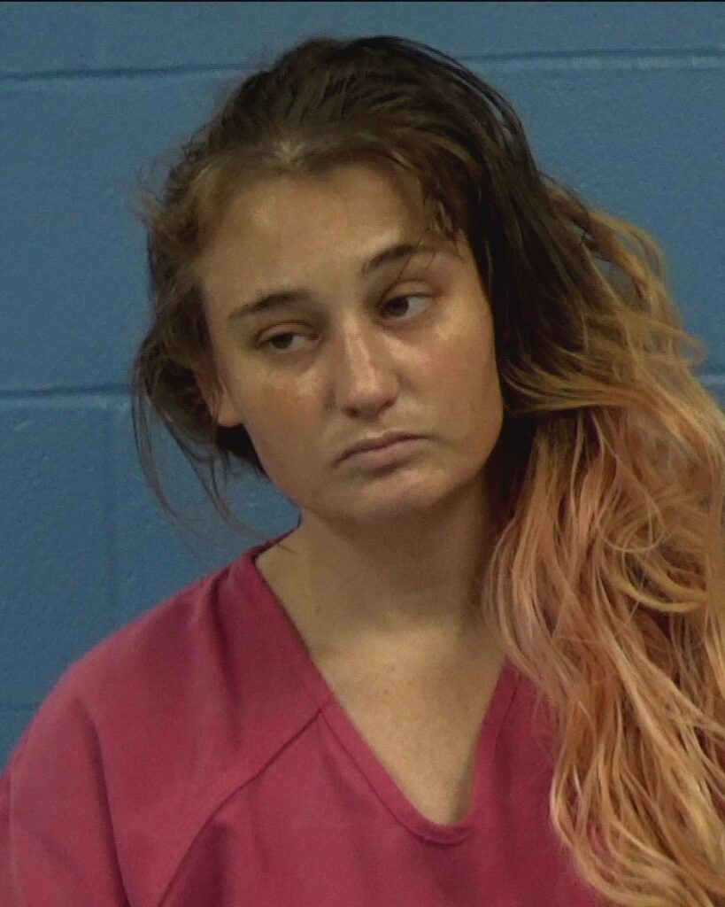 Wagner, Aspyn Nichole-Ann arrest record in Williamson County, Texas Wagner, Aspyn Nichole-Ann arrested in Williamson County, Texas mugshot