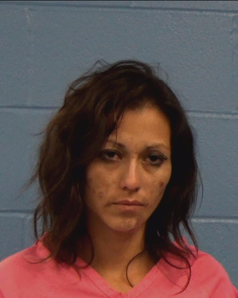 Borjas, Lilian arrested in Williamson County, Texas mugshot
