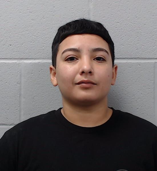Garza, Brittney Nichole booking photo