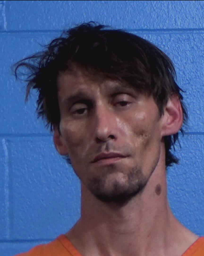 Johnson, Michael Richard booking photo