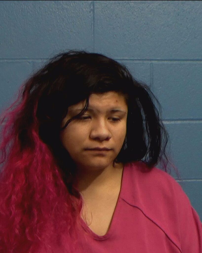 Sanchez, America Flores arrest record in Williamson County, Texas Sanchez, America Flores arrested in Williamson County, Texas mugshot