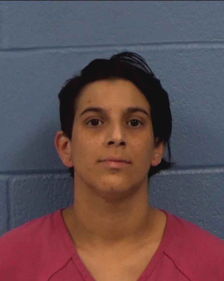 Shirley-Soto, Cheyenne Nicole booking photo