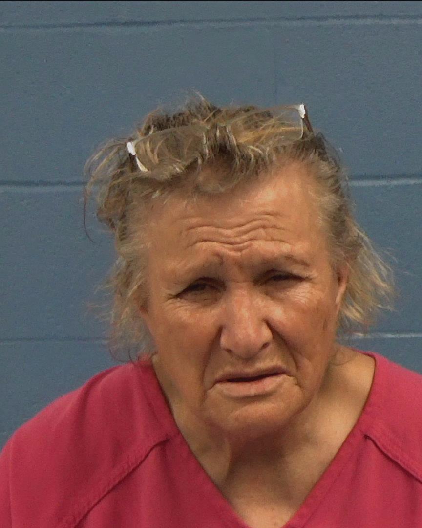 Ferguson, Judy Elaine booking photo