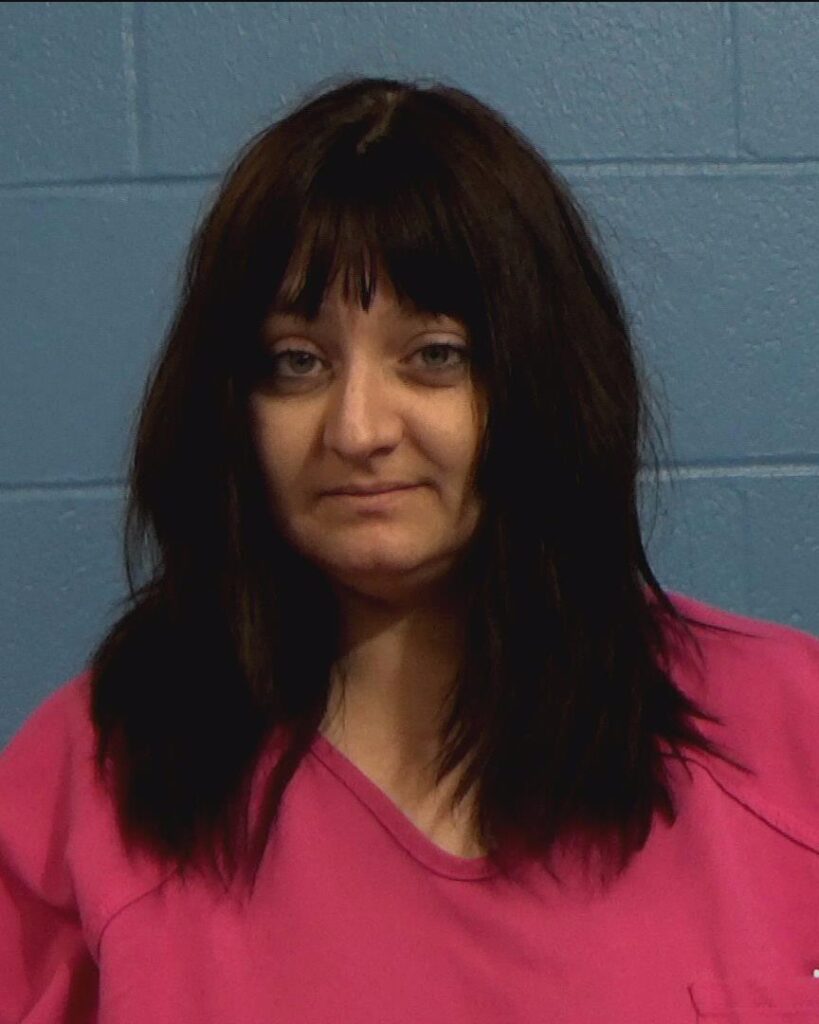 Jenkins, Jana Mara arrested in Williamson County, Texas mugshot