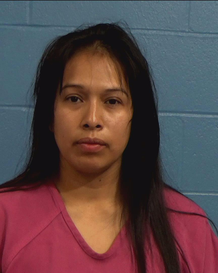 Castillo-Perez, Anna Laura booking photo