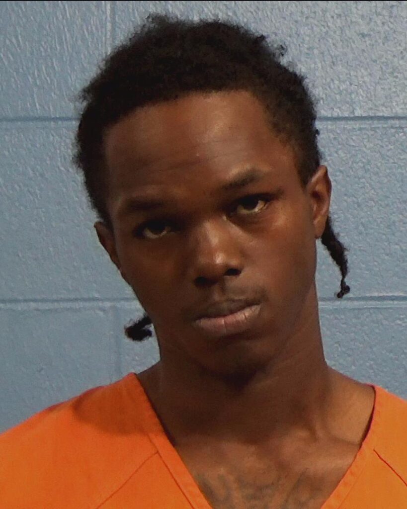 Demuchest, Lovie Lee arrested in Williamson County, Texas mugshot