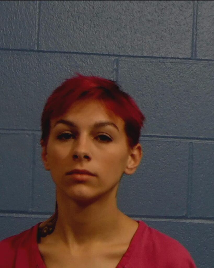 Bisnett, Adeline Anne arrest record in Williamson County, Texas Bisnett, Adeline Anne arrested in Williamson County, Texas mugshot