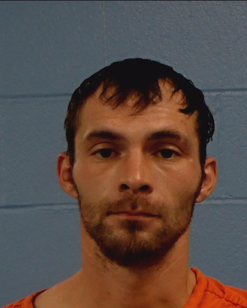 Brinsfield, Dakota arrested in Williamson County, Texas mugshot