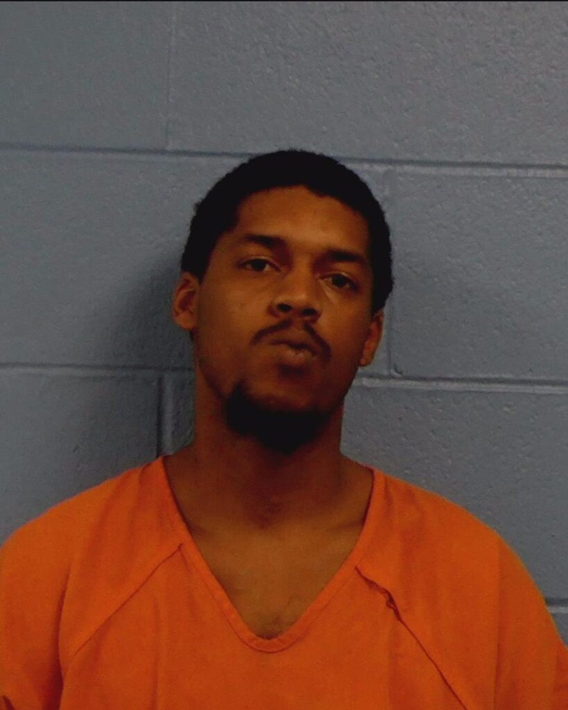 Watkins, Dominique H arrested in Williamson County, Texas mugshot
