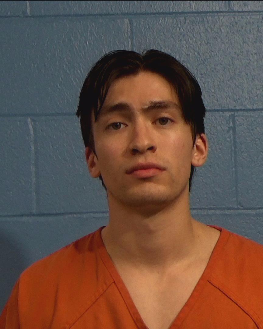 Seelig, Alfred J. booking photo