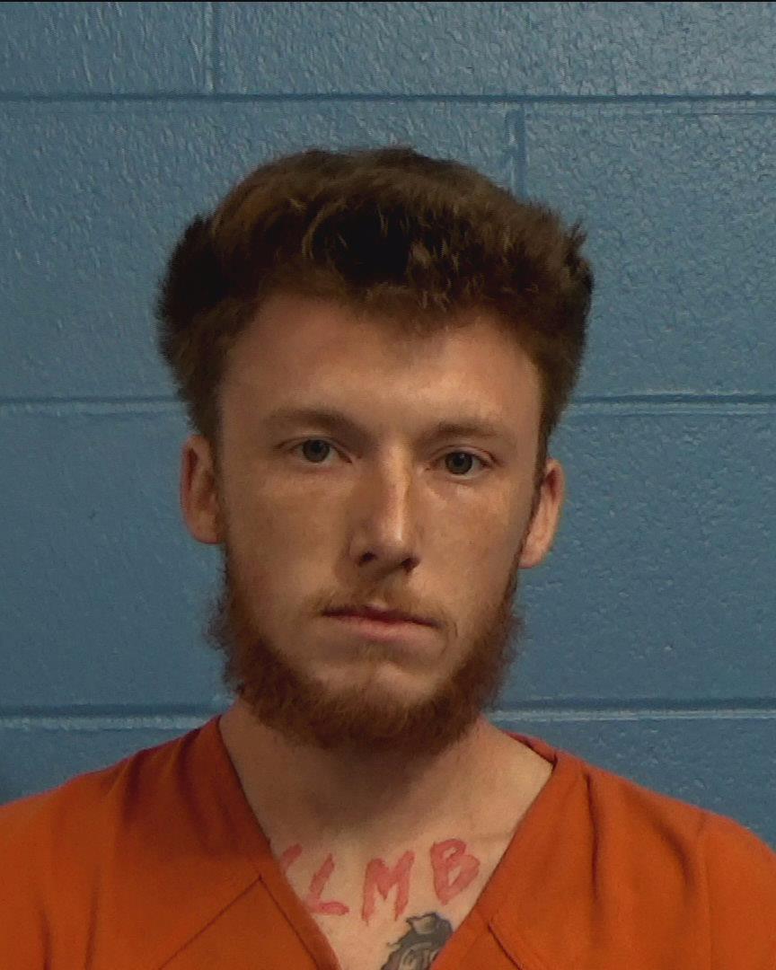 Hitchens, William Reese booking photo