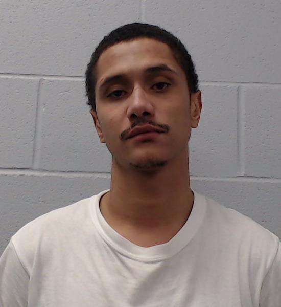 Anderson, David Lee arrested by Hays County SO/PD