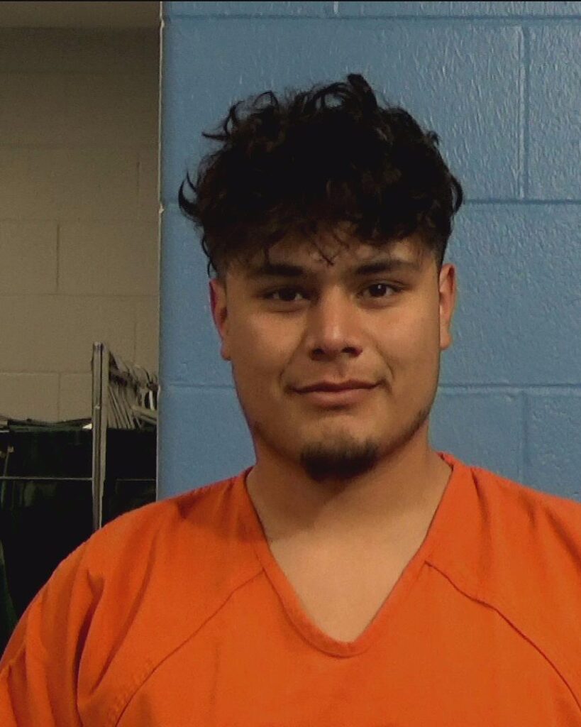 Alvarado Hernandez, Efren Marcelo arrested in Williamson County, Texas mugshot