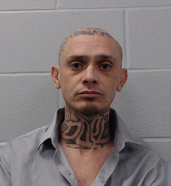 Westbrook, David Andres arrested by Hays County SO/PD