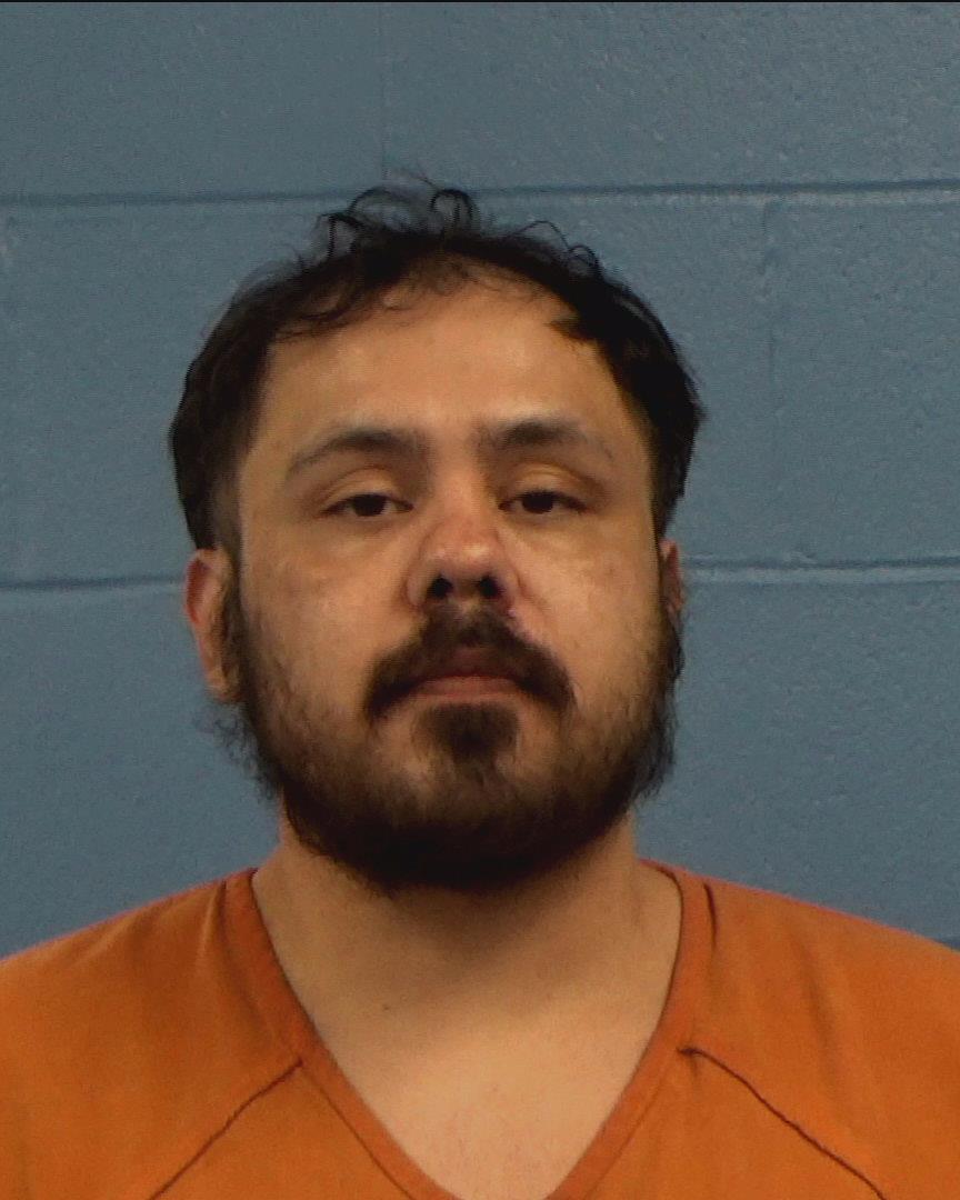 Ledesma, Roman Castro booking photo