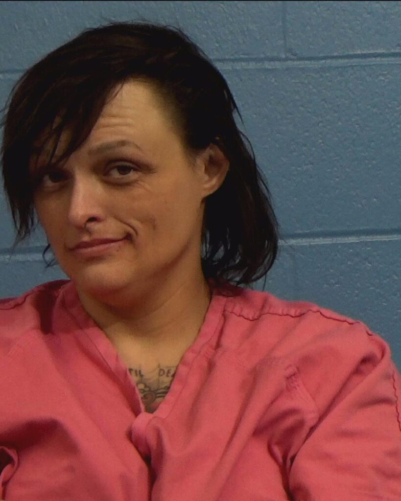 Knowles, Lacey Alexandria arrest record in Williamson County, Texas Knowles, Lacey Alexandria arrested in Williamson County, Texas mugshot