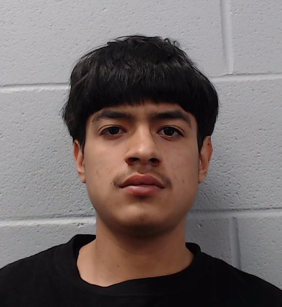 Patina, Derek Allen arrested by Hays County SO/PD